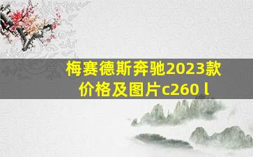 梅赛德斯奔驰2023款价格及图片c260 l